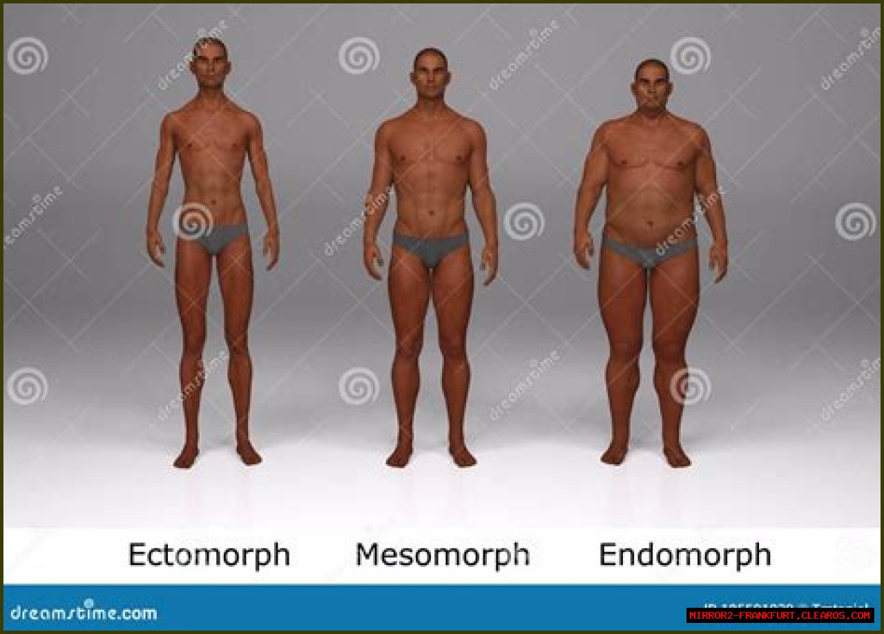 Ecto Mesomorph: Understanding The Body Type For Optimal Fitness