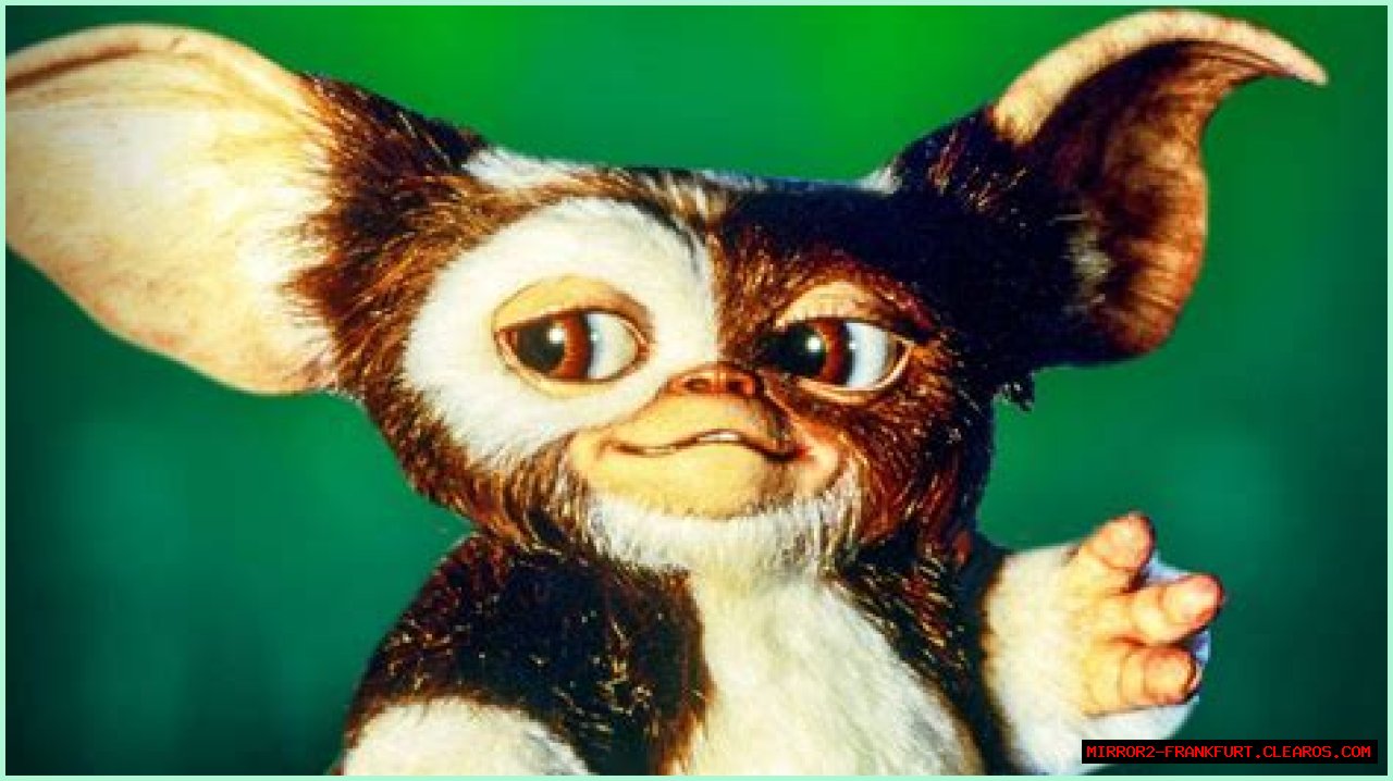 Exploring The Lives Of The Gremlins Cast Now