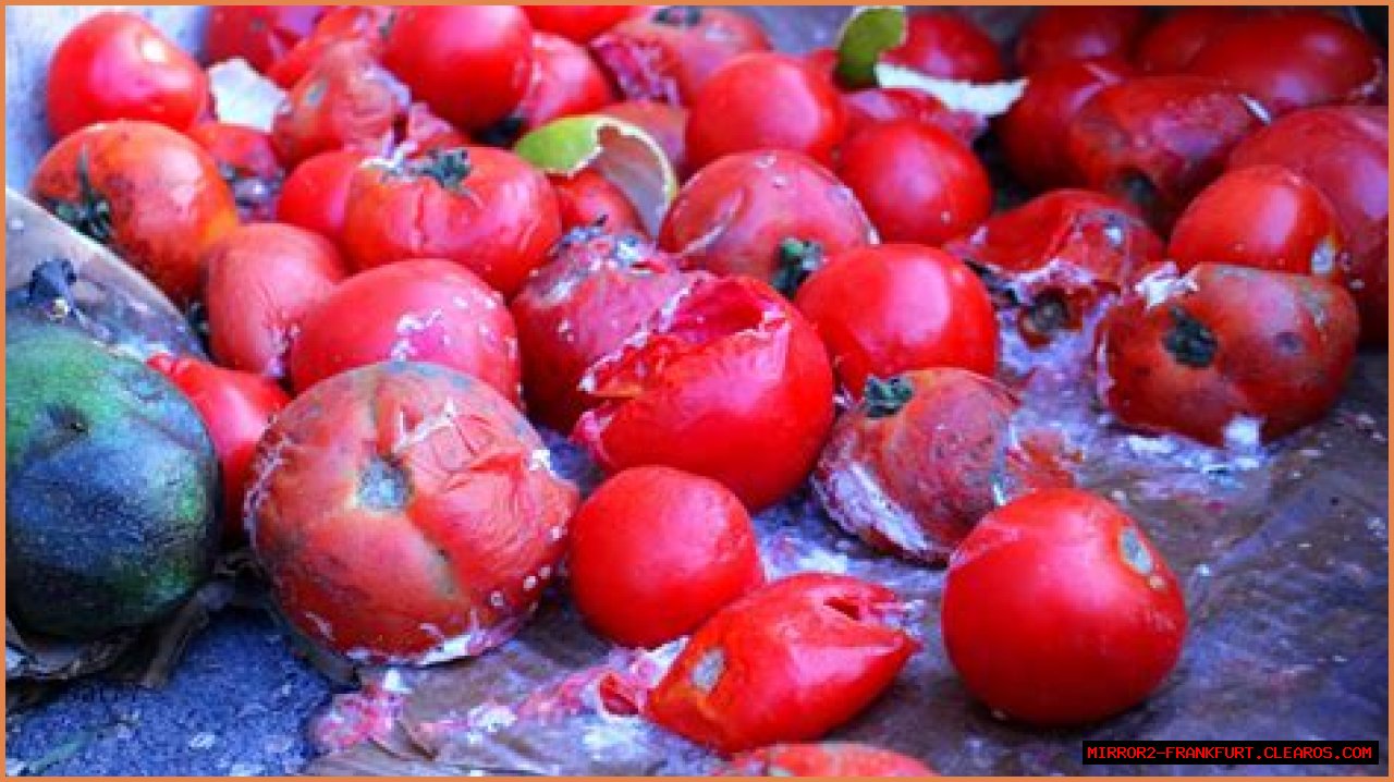 Understanding Rotten Tomatoes: A Comprehensive Guide