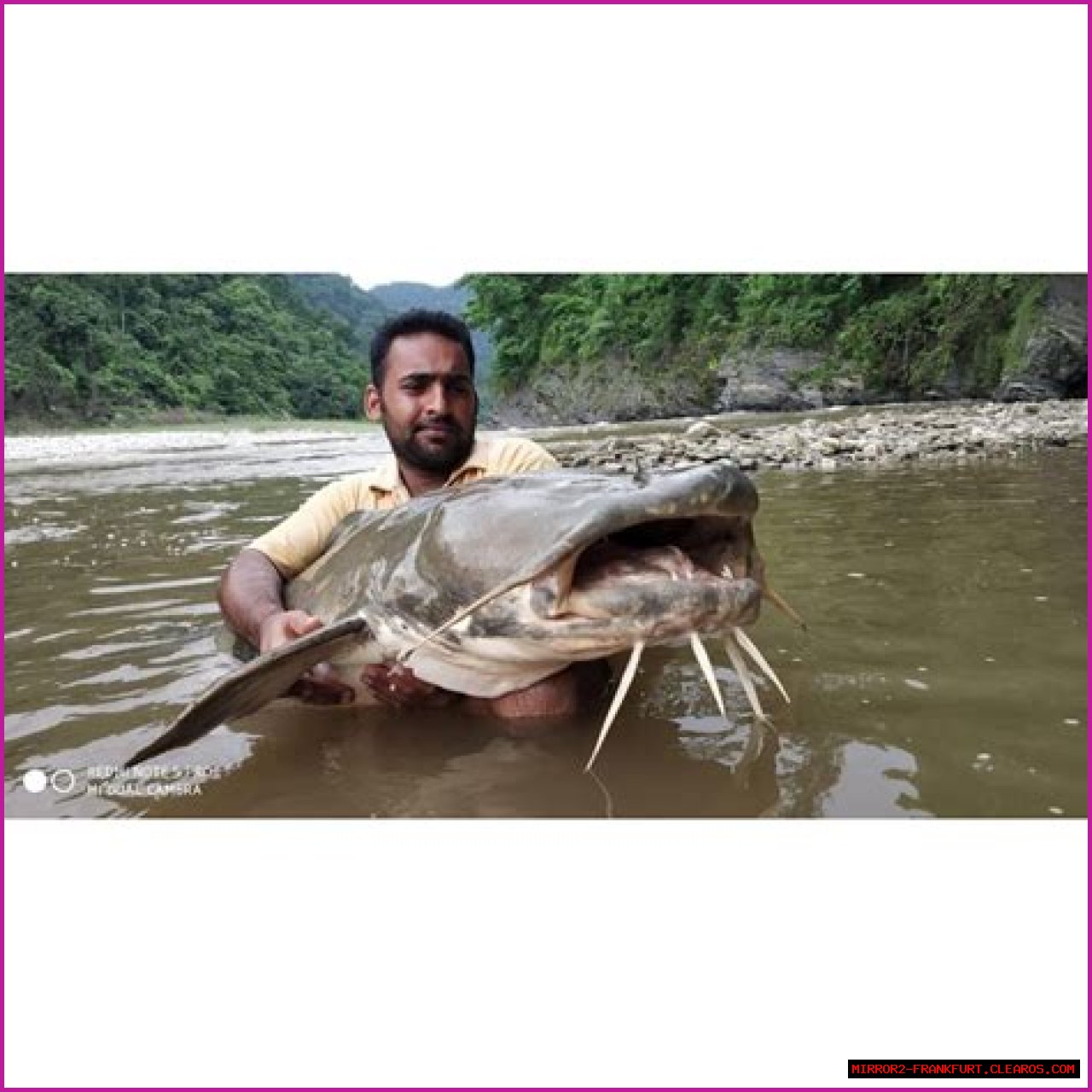 Unveiling The Mystique Of Isaac Catfish: The Enigma Of The Aquatic World